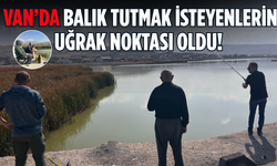 Van Edremit’te Aynalı Sazan Avı! Amatör Balıkçılar Bu Noktaya Geliyor