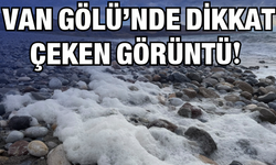 Van Gölü’nde Dikkat Çeken Görüntü: Dalgalar Köpük Köpük Oldu!