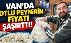 Van’da otlu peynirin fiyatı şaşırttı! Kilosu 800 liraya yükseldi!