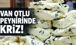 Van otlu peynirinde kriz! Fiyat arttı, üretim azaldı