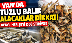 Van’da Tuzlu Balık Alacaklar Dikkat! Rengi Her Şeyi Değiştiriyor