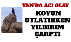 Van’da Koyun Otlatırken Yıldırım Çarptı: 14 Yaşında Hayatını Kaybetti