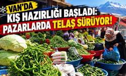 Van’da Kış Hazırlığı Başladı: Pazarlarda Telaş Sürüyor!