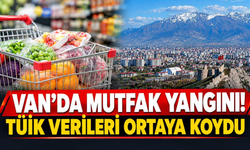 Van’da Mutfak Yangını! TÜİK Verileri Ortaya Koydu