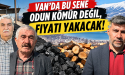 Van’da bu sene odun, kömür değil, fiyatı yakacak!
