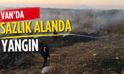 Van Edremit'te sazlık alanda yangın!