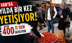 Van’da Yılda Bir Kez Yetişiyor! Kilosu 400 TL’den Satılıyor