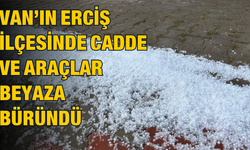 Erciş'te Cadde ve Araçlar Beyaza Büründü