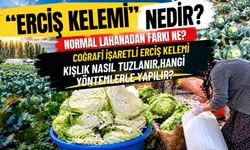 Van'ın Kazan Kazan Tuzlanan Tescilli Ürünü! Erciş Kelemi Nedir, Nasıl Saklanır, Saklama Yöntemleri Nedir?