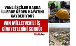 DEM Parti Van Milletvekili Gülderen Varlı’dan İş Cinayetleri İçin Bakana Çağrı!