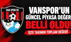 Vanspor’un 2026 güncel piyasa değeri belli oldu! İşte takımın toplam değeri