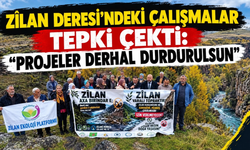Zîlan Deresi’nde Ne Oluyor? Çevre Örgütlerinden Tepki!