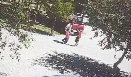 Başıboş Köpek Saldırdı: Küçük Kız Son Anda Kurtarıldı