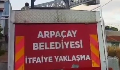 Yavru Leylek Yuvasına Döndü: Arpaçay'da Duyarlı Müdahale