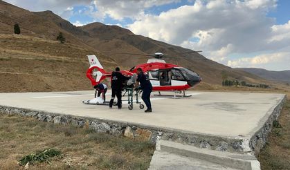 Serebrovasküler hasta ambulans helikopterle Van'a sevk edildi
