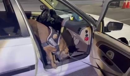 Erzurum'da Araçta Gizlenmiş Uyuşturucuyu 'Magnum' Buldu