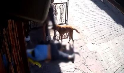 İstanbul’da Şok Olay:Sara Nöbeti Geçiren Vatandaşın Eşyaları Çalındı!