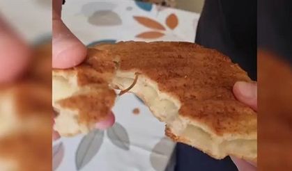 Ekmekten çıkan şey herkesi şok ettirdi!