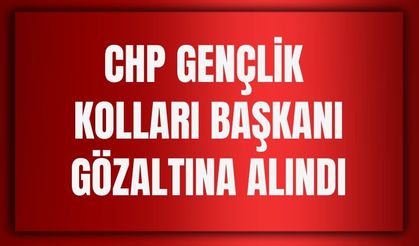 CHP Erzincan Gençlik Kolları Başkanı Gözaltına Alındı