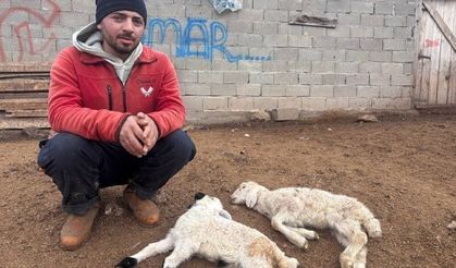 Üreticiye Kritik Uyarı! Salgın Değil İhmal Var