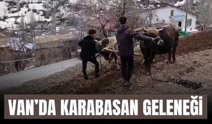 Van’da Karabasan Geleneği