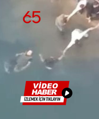 Malabadi Köprüsü’nde Boğulma Tehlikesi: Vatandaşlar El Ele Verip Kurtardı