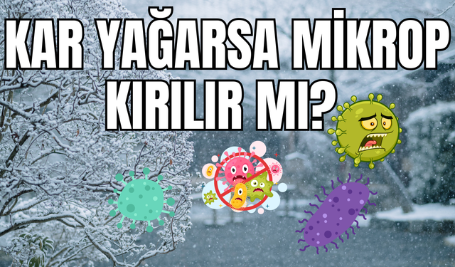 Vanlılar sık sık bu ifadeyi kullanıyor! Kar yağarsa mikrop kırılır mı? Uzmanı yanıtladı!