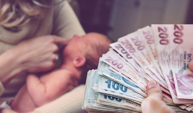 Van’daki Çocuklu Annelere Müjde! Doğum Yardımları Artıyor!