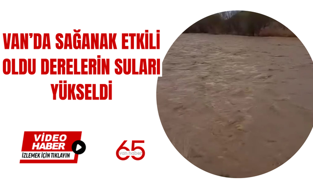 Van’da Yağışlar Etkili Oldu: Derelerin Suları Yükseldi