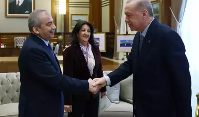 Cumhurbaşkanı Erdoğan'dan Sırrı Süreyya Önder Talimatı