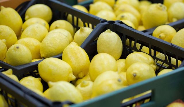 Bakanlık Duyurdu: Limon Satışı Durduruldu