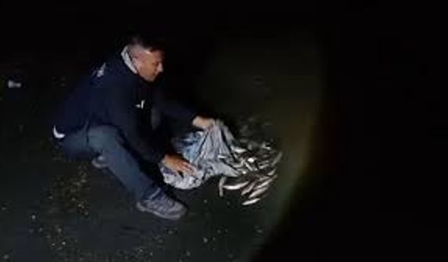 Van'da Gecenin Sessizliğinde Kurulan Tuzak!