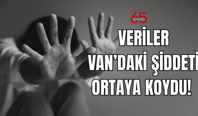 Veriler Van’daki Şiddeti Ortaya Koydu! Van’da Şiddet Neden Bitmiyor?