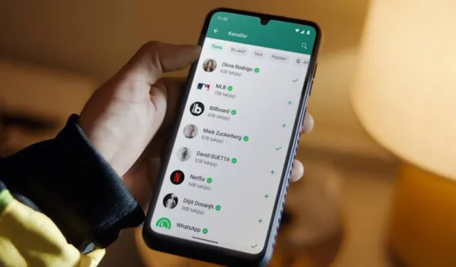 Whatsapp Kaldırılıyor Mu?