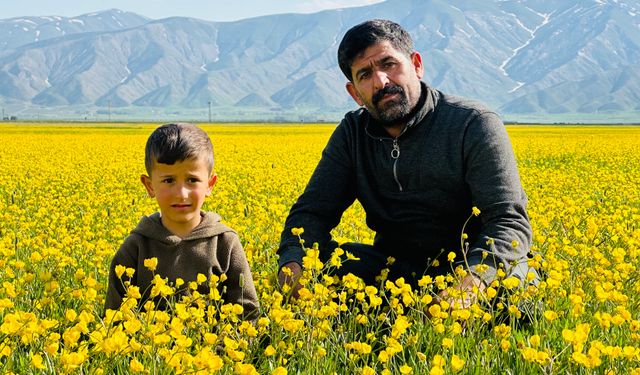 Cilo Dağı Eteklerinde Bahar ve Kış Bir Arada