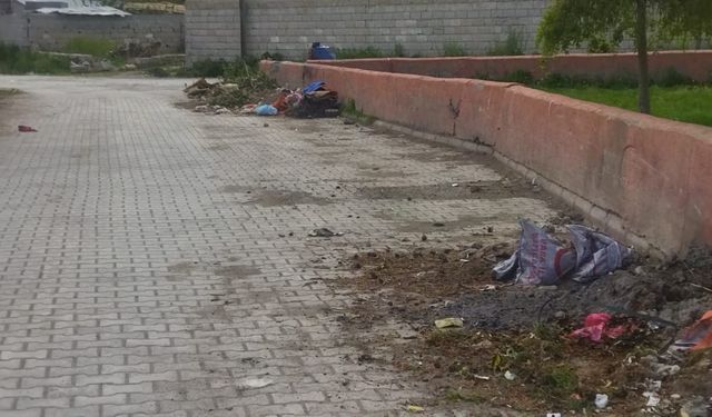 Van'da Bir Mahalle Göz Göre Göre Çöplüğe Dönüştü!