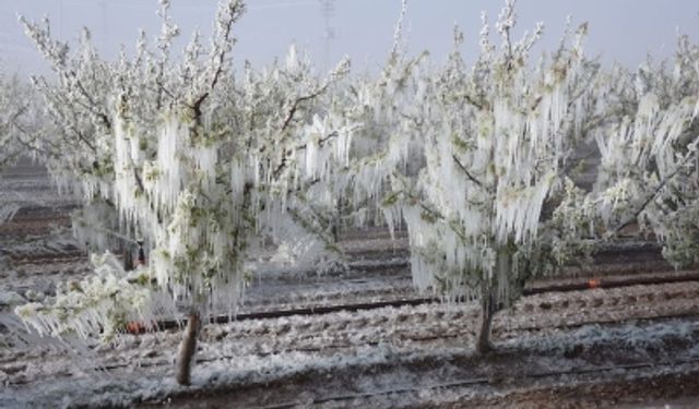 Zirai Don Komisyonu TBMM’de İlk Toplantısını Yaptı