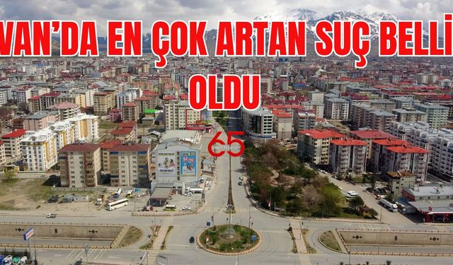 Van’da Suç Haritası Değişti: En Çok Bu Suç Arttı!