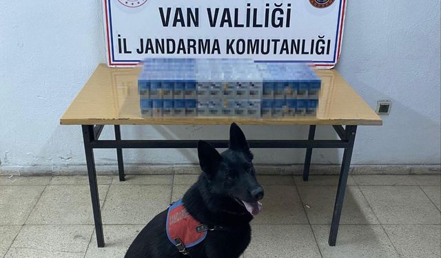 Van’da 8 Ayrı Noktaya Baskın Düzenlendi!