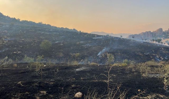 Diyarbakır’da Orman Yangını Alarmı