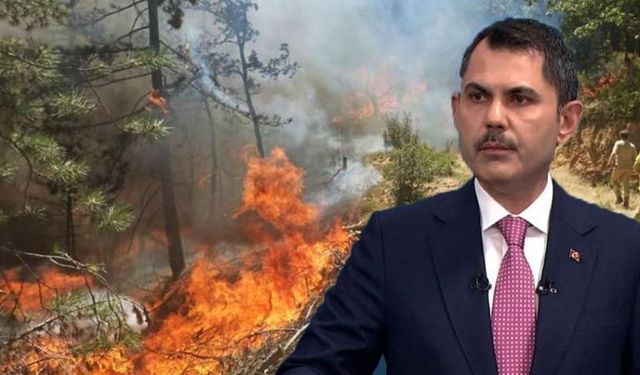 Orman Yangınlarının Korkunç Bilançosu Açıklandı!