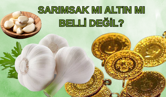 Sarımsak Mı Altın Mı Belli Değil?
