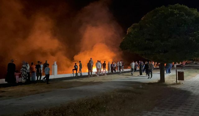 Erciş'te anız yangını
