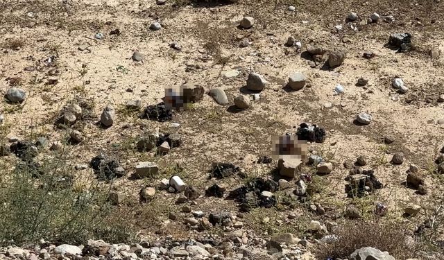 Yüksekova'da Mezarlık Yanına Bira Şişeleri Bırakıldı!