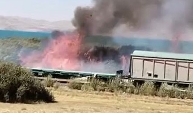 Van'da Erçek Gölü Kıyısında Sazlık Alanda Yangın Çıktı