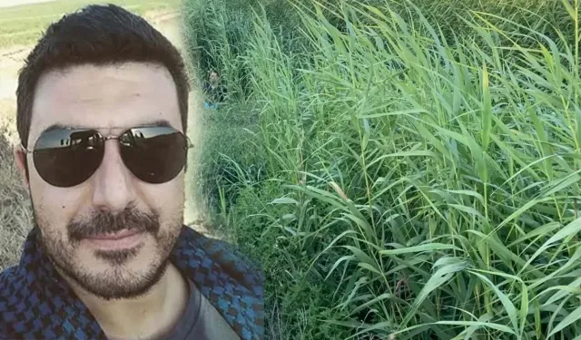 Eski Foça Belediye Başkanının Oğlu Sazlıkta Ölü Bulundu!