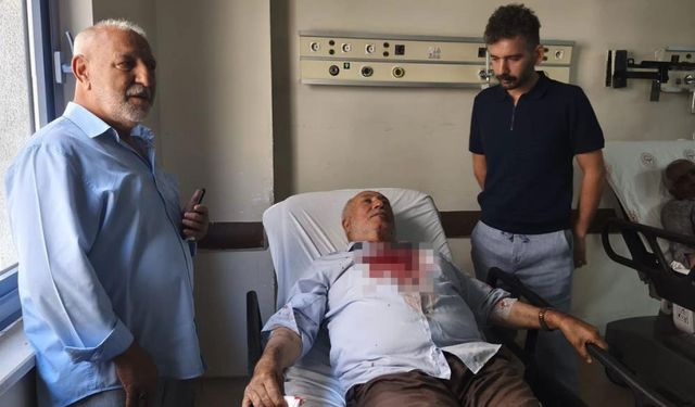 Cami Bahçesinde Yumruklu Saldırı: İmam Yaralandı