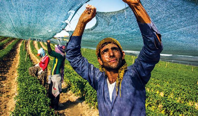 İşsiz Gençlere Müjde! Artık İş Sahibi Olabilirsiniz