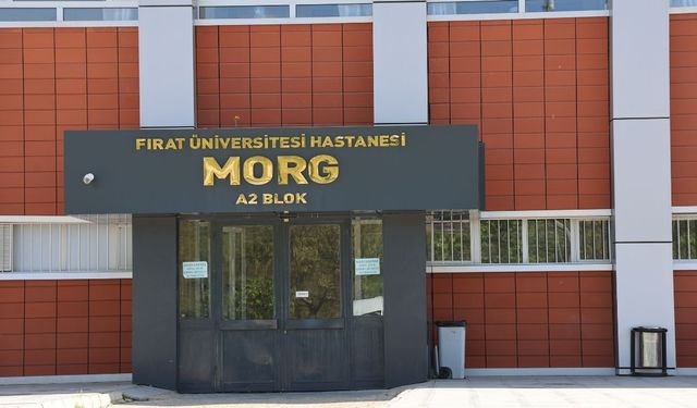 Kan Donduran Cinayet: Taksici Kuzeni Tarafından Katledildi