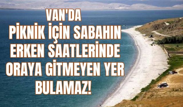 Van’da Hafta Sonu Piknik Keyfi: Ayanis Kalesi